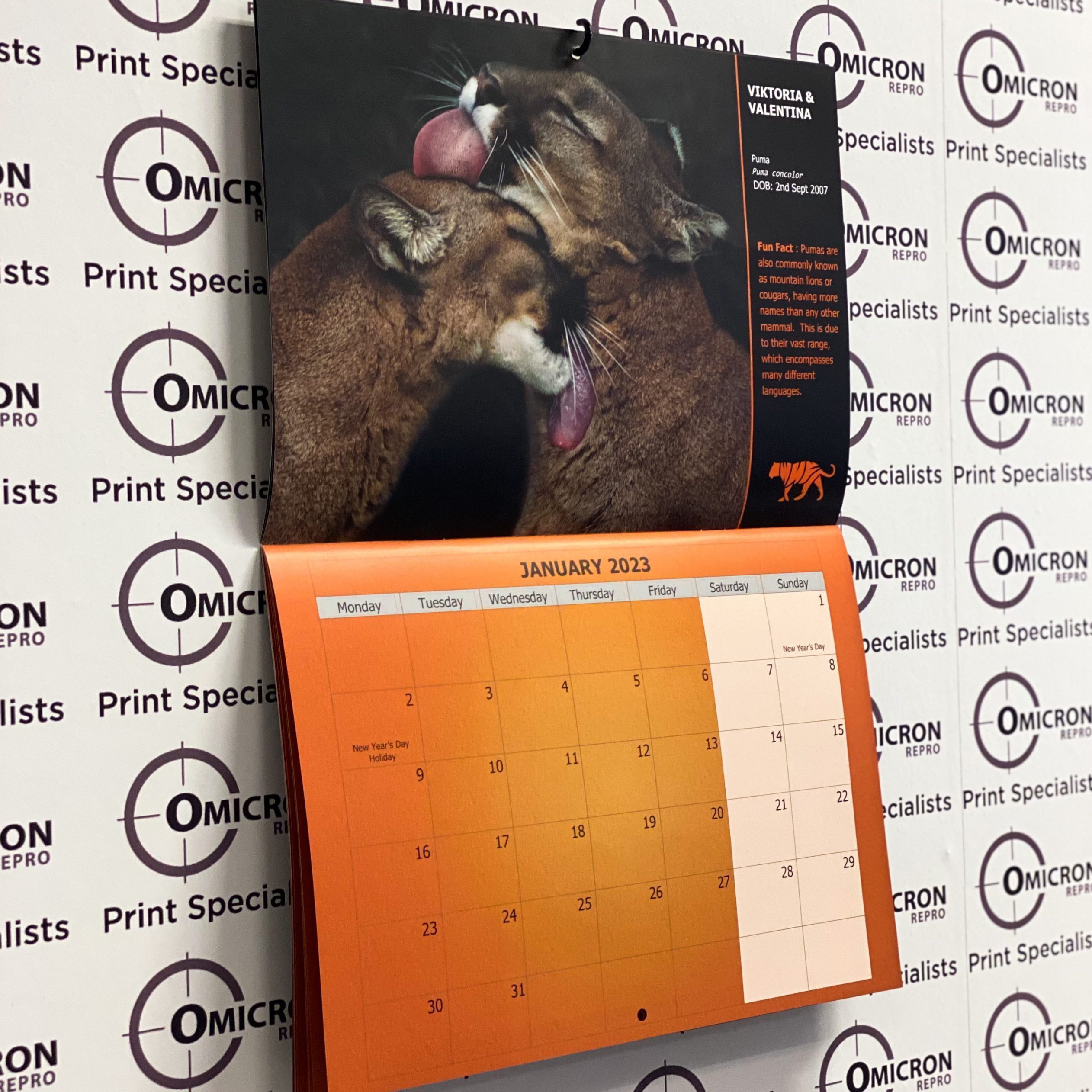 Saddle stitched brochure printing Omicron Repro Canterbury Saddle stitched brochure printing Omicron Repro Canterbury